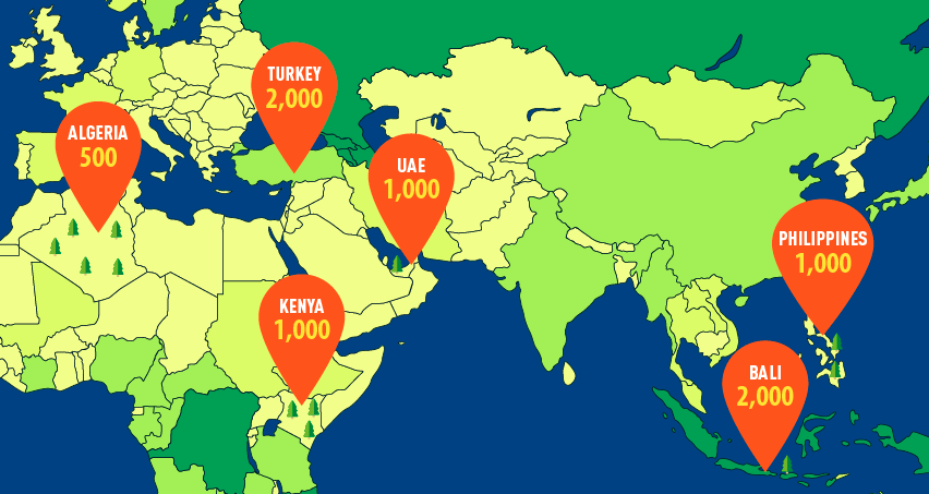 QNet-Our-Global-Forest-small